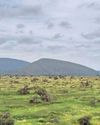 Desert cattle operation reaps rewards of regenerative agriculture28