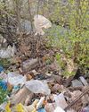 Grabouw business community bands together to clean up the Swannie River11