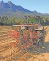 Getting to the root of healthy vineyards23