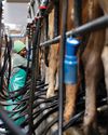 Farmer's Weekly