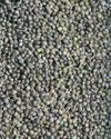 Technology in hemp production Technology in hemp production19
