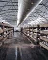 Farmer's Weekly
