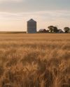 Farmer's Weekly