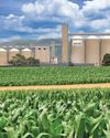 Farmer's Weekly