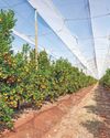 Farmer's Weekly