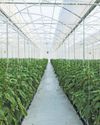 Farmer's Weekly