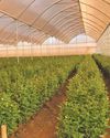 Farmer's Weekly