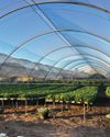 Farmer's Weekly