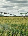 Farmer's Weekly