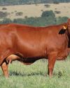 Farmer's Weekly