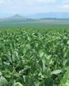 Farmer's Weekly