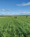 Farmer's Weekly