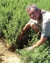 Farmer's Weekly
