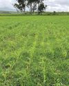 Farmer's Weekly