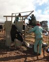 Farmer's Weekly