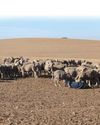 Farmer's Weekly