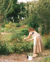 South African Garden and Home