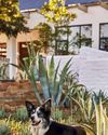 South African Garden and Home
