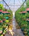 South African Garden and Home