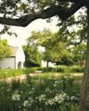 South African Garden and Home