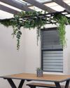 South African Garden and Home