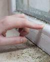 THE HEALTH HAZARDS OF DAMP AND MOULD