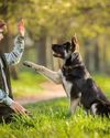 HOW PETS CAN TEACH KIDS LIFE SKILLS