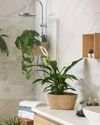 CREATING A CALM FAMILY HOME CREATING A CALM FAMILY HOME