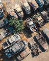 BORN TO RUST BORN TO RUST