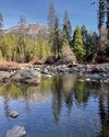 Return to Wawona Guideposts