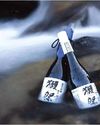 Bringing Japanese sake to Southeast Asia – The shared future of Asia and Japan Bringing Japanese sake to Southeast Asia – The shared future of Asia and Japan17