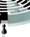 THE MULTILATERAL MAZE5
