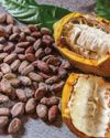 Bloom & Bean Ecuador's Story of Roses and Cocoa13