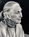 Jane Goodall-THE NATURE OF RESILIENCE