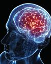 The Stages of Memory Formation and Storage