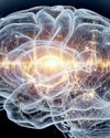 HOW PROPER FOOD HABITS BOOST MEMORY AND INTELLIGENCE UNIQUE TIMES
