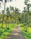 Green is the New Gold: The Business of Sustainable Tourism22