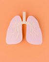 20 Power Boosters For Lung Health