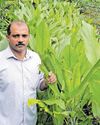 രണ്ടാം വരവിൽ വമ്പൻ നേട്ടം14