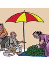പഴങ്ങൾക്കും വേണം ബിസിനസ് മിടുക്ക്6