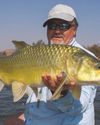 Largemouth Yellowfish The Expert Approach: Part II