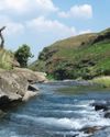 In Search Of Natal Yellowfish Top Scaly Rivers Of Kwazulu-Natal