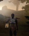 THE ELDER SCROLLS III: MORROWIND THE ELDER SCROLLS III: MORROWIND