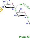 Pectin: An Esteemed Plant-Derived Molecule in the Food Industry