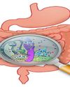 The Hidden Brain in Gut- How microbes shape our cognition and behaviour