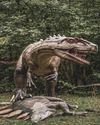 If we must bring back extinct species, let's focus on the giant herbivores