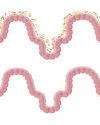 The Gut-Brain Connection: How Our Second Brain May Hold the Key to Preventing Neurodegeneration0