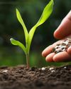 From Waste to Harvest: The Power of Human Urine as an Eco-Friendly Fertilizer6