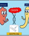 CRISPR-Cas Technology: Revolutionizing the future of modern disease diagnosis and healthcare CRISPR-Cas Technology: Revolutionizing the future of modern disease diagnosis and healthcare4