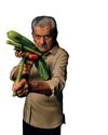 RISE OF THE VEGGIELANTES RISE OF THE VEGGIELANTES